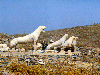 Delos